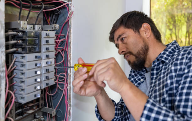 Best Ceiling Fan Installation Electrician  in Brainerd, MN